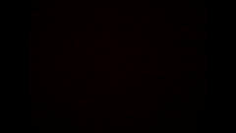 Snapshot of stanlaurel60 chatting on February 15, 6:23 am Stan online show from February 15, 6:23 am