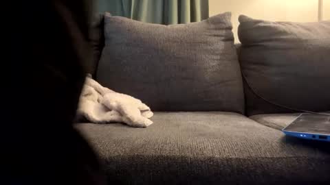 starr3095 online show from September 17, 1:46 pm