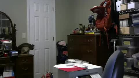 stasw20 online show from January 25, 3:09 am