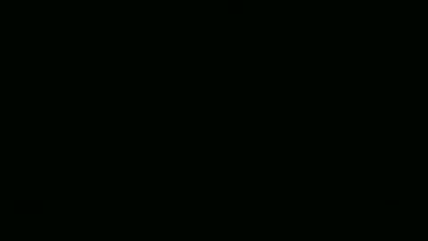 Snapshot of steflab chatting on January 6, 10:30 am steflab online show from January 6, 10:30 am