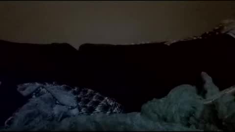 stefy1037 online show from April 18, 4:38 am