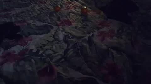 Snapshot of stel7621 chatting on January 7, 6:56 pm Rocco-load online show from January 7, 6:56 pm