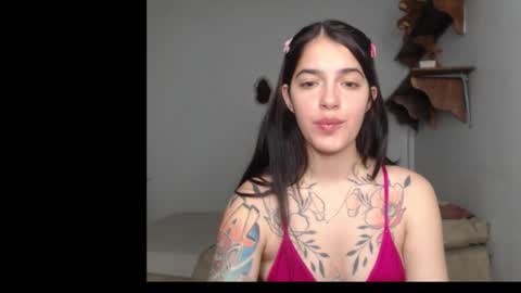 Snapshot of stella_art chatting on February 12, 2:28 am Stella online show from February 12, 2:28 am