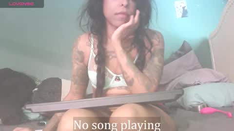 Stella Clitella online show from November 22, 7:02 pm