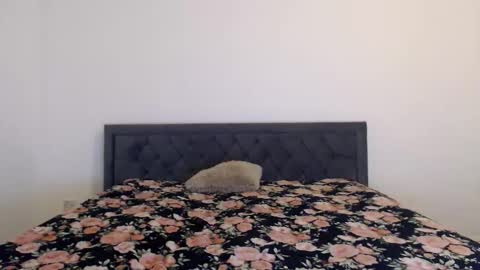 Stella John online show from September 20, 5:19 am