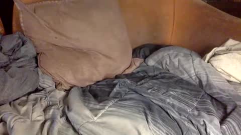 STEVE CASHMASTER 1comedia online show from February 20, 4:14 pm