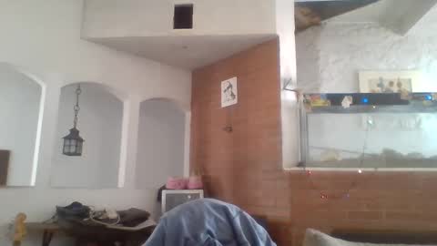 stevenson988 online show from December 26, 6:12 pm