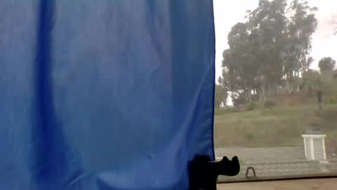 steviehard7 online show from March 11, 4:51 pm