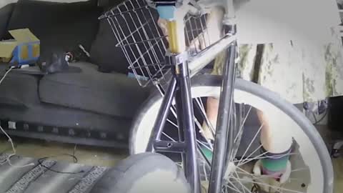 stillcantsl66p online show from October 3, 6:05 pm