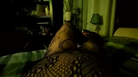 StockingGeek online show from December 5, 7:06 am