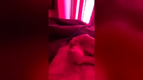 strarktyy44 online show from June 20, 10:18 am