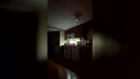 Snapshot of stringgreens777 chatting on January 12, 1:11 am stringgreens777 online show from January 12, 1:11 am