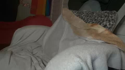 Dong Stroker online show from March 18, 9:01 am