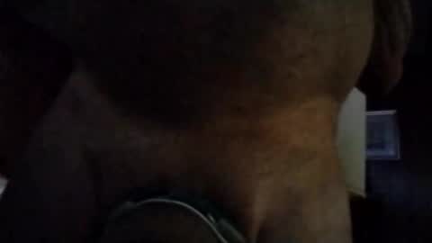 stuffamuffagus69 online show from November 16, 1:00 am