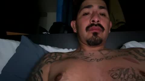 stylezg805 online show from March 18, 7:44 am