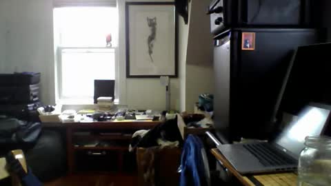 Snapshot of sugardotdom chatting on April 14, 2:01 pm Sugar online show from April 14, 2:01 pm