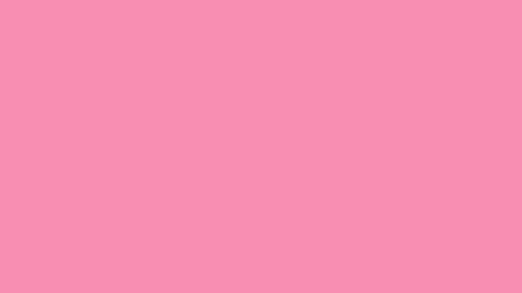 Poppy online show from March 22, 12:30 pm