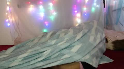 Snapshot of suley_fox chatting on March 4, 2:17 am zuley online show from March 4, 2:17 am