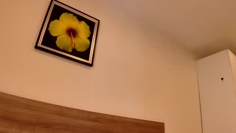 luna online show from March 1, 2:48 am