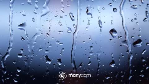 sven online show from January 12, 6:24 pm