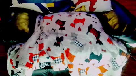 Snapshot of sunnymarcie chatting on February 3, 5:03 pm Sunny Marcie online show from February 3, 5:03 pm