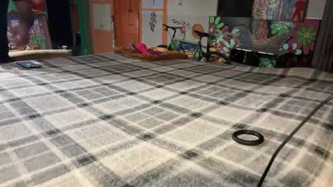 Stony online show from December 2, 10:07 am