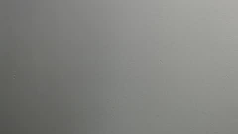 sussy leon online show from January 28, 12:11 pm