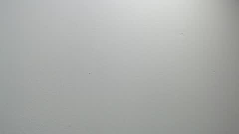 sussy leon online show from February 11, 12:05 pm