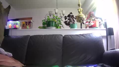 Otto online show from January 16, 5:33 am