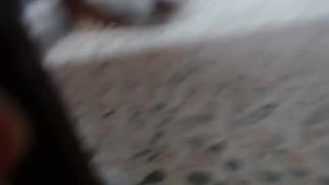 Suxxxy online show from January 29, 3:04 pm