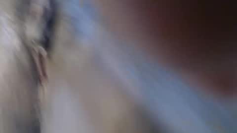 Suzy online show from March 22, 9:13 am