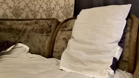 Sweet boy online show from September 23, 11:41 pm