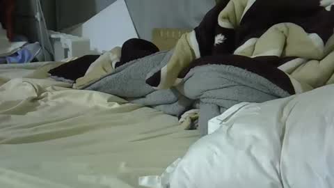 Bellah online show from March 8, 9:29 pm