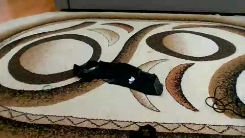 Sweet bluegirl online show from March 6, 11:45 pm