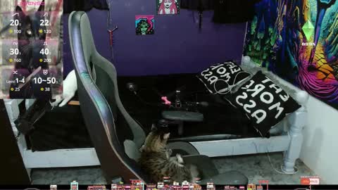 Snapshot of sweet_kitty66 chatting on September 20, 11:28 pm elizabeth grey online show from September 20, 11:28 pm