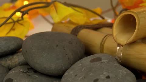 Sandra online show from October 26, 1:28 pm