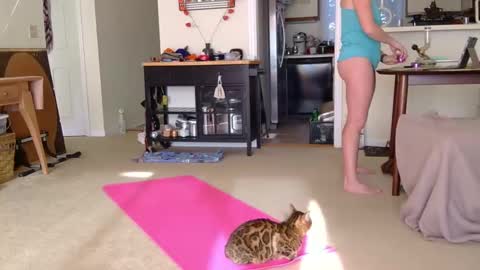 Heidi Brenner - Please check bio for schedule  FAQ online show from October 7, 1:19 pm