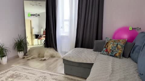 Vicktorious online show from January 17, 12:42 pm