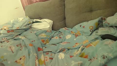 Stacy online show from January 2, 2:13 pm