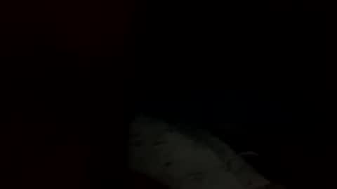 swovey online show from September 28, 10:31 am