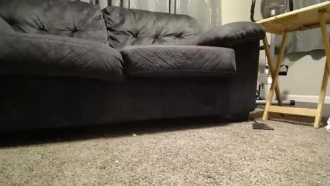 Snapshot of sxtn002 chatting on November 11, 11:10 am sxtn002 online show from November 11, 11:10 am