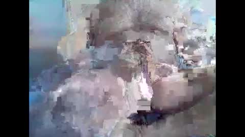 Syme online show from November 8, 11:03 pm