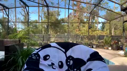 Jennah online show from February 1, 8:05 pm