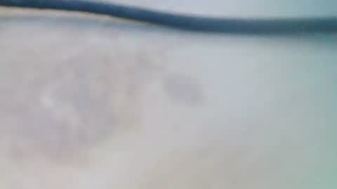 syrius57920 online show from December 5, 8:22 am