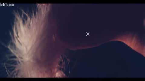 TAANNI online show from September 18, 10:34 pm