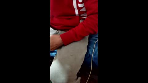 Taitotoito online show from January 16, 2:04 am