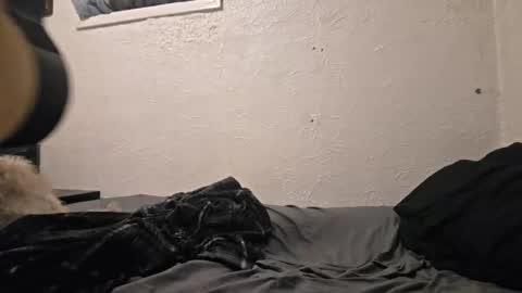 Snapshot of talenjames chatting on April 18, 9:48 pm Talen James online show from April 18, 9:48 pm