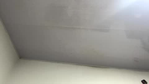 tali  online show from October 26, 11:20 pm