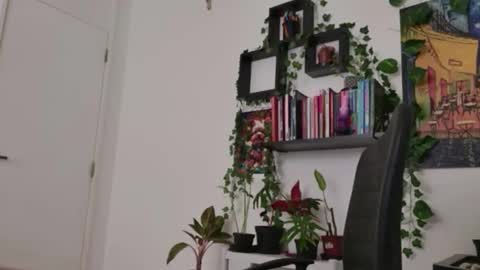 Tali Majid online show from February 16, 8:16 pm