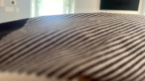 Snapshot of talk2me818 chatting on January 2, 3:08 pm talk2me818 online show from January 2, 3:08 pm